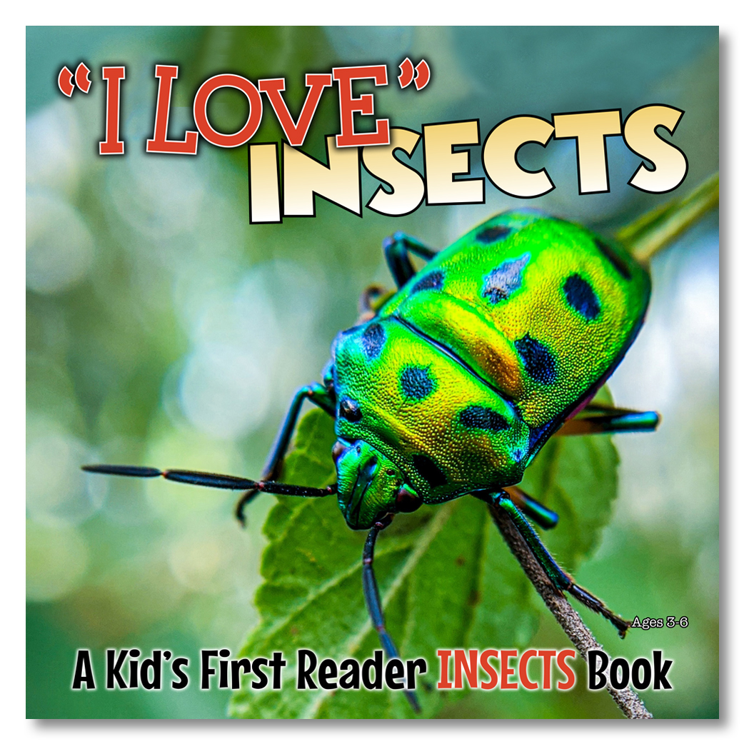 I Love Insects Cover