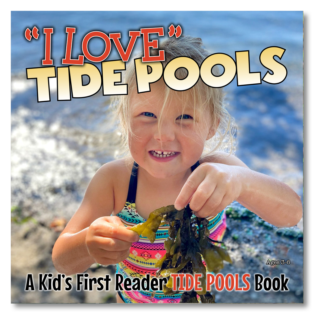 I Love Tide Pools Cover